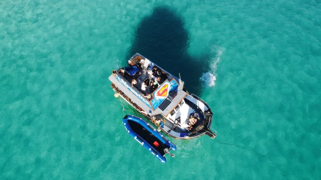 Mergulho no mar visto de cima em Arraial do Cabo